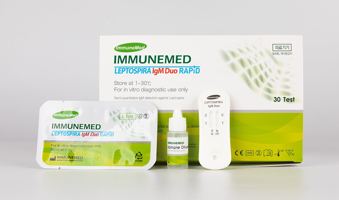 렙토스피라 lgM Duo 래피드